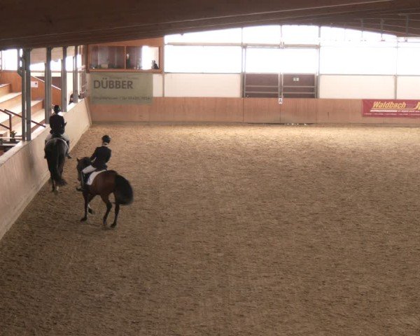 Reitturnier Borgholzhausen 2025