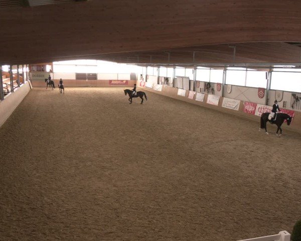 Reitturnier Borgholzhausen 2025