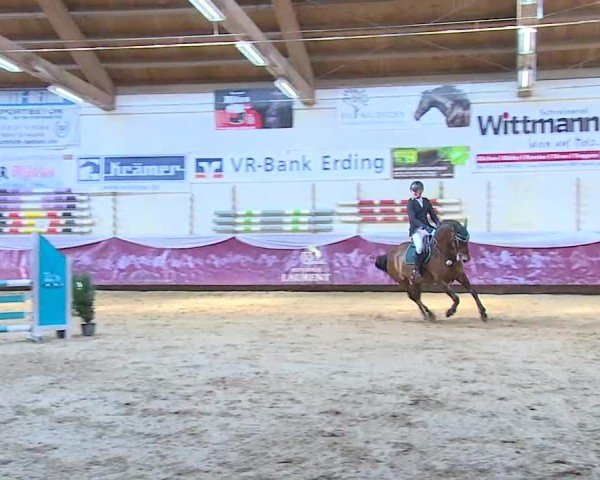 Reitturnier Eicherloh 2025