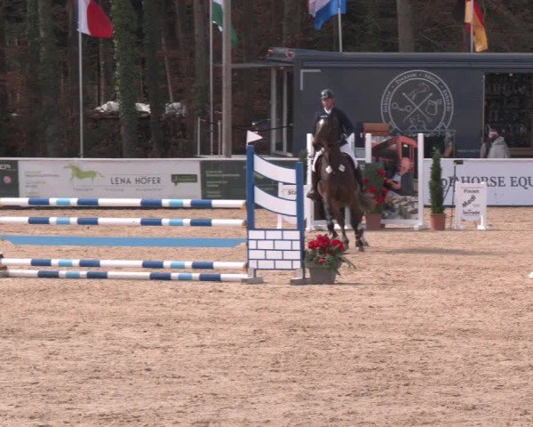 Reitturnier Ranshofen - Braunau am Inn 2025