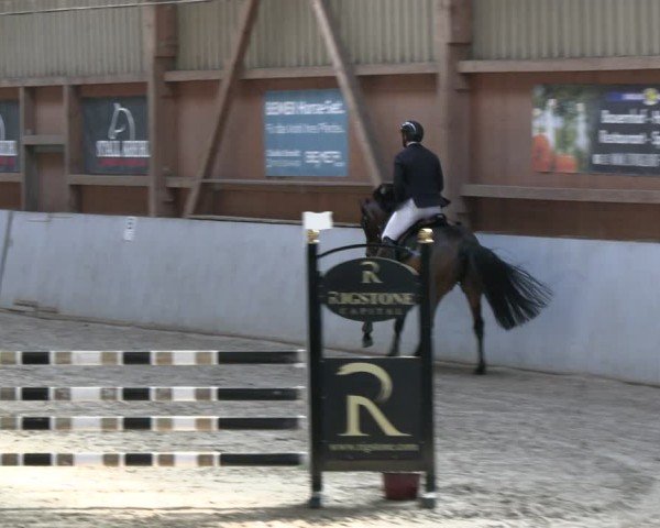 Reitturnier Lentzke 2025
