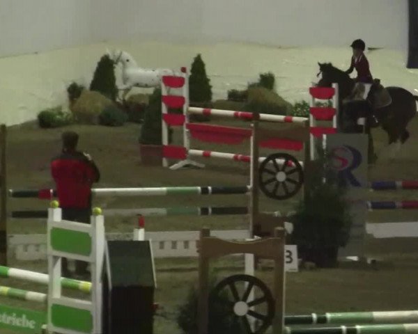 16. Legdener Pony-Meeting
