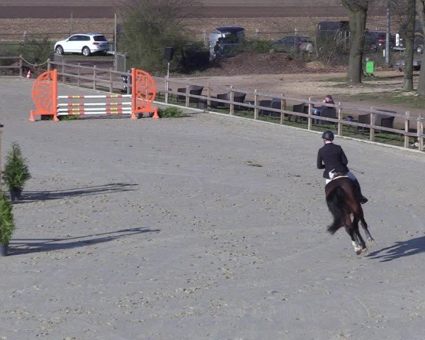 Reitturnier Scharnebeck 2025
