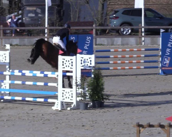Reitturnier Scharnebeck 2025