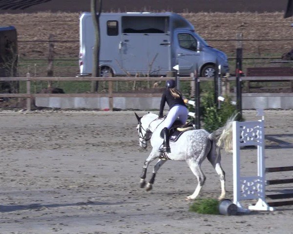 Reitturnier Scharnebeck 2025
