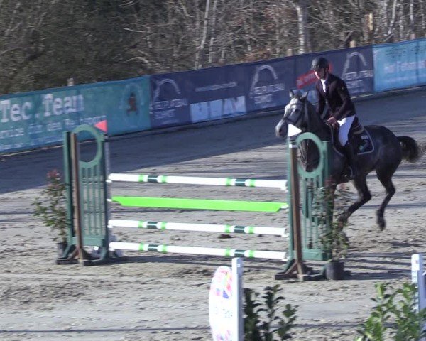 Reitturnier Scharnebeck 2025