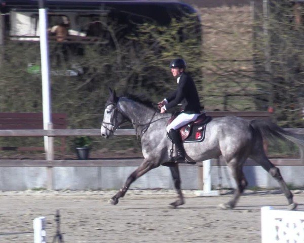 Reitturnier Scharnebeck 2025