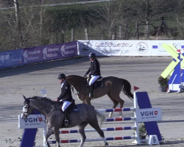 Reitturnier Scharnebeck 2025