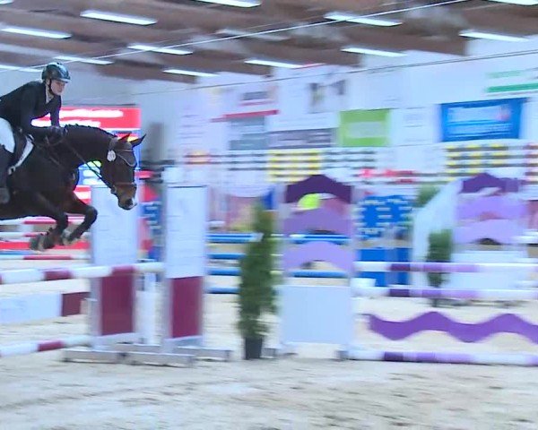 Reitturnier Eicherloh 2025