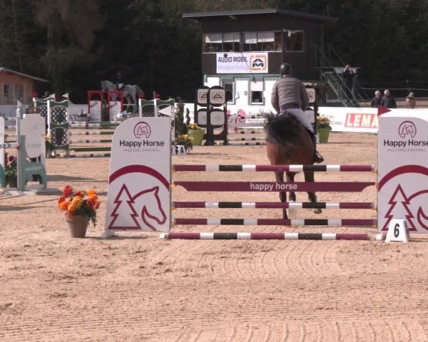 Reitturnier Ranshofen - Braunau am Inn 2025