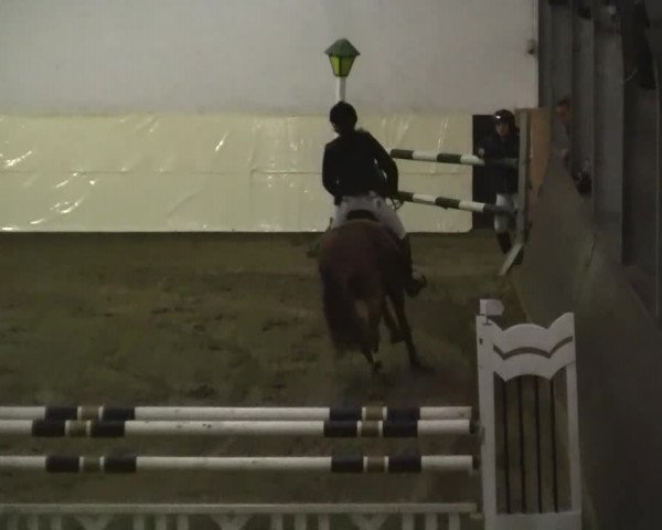 16. Legdener Pony-Meeting