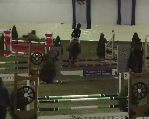 16. Legdener Pony-Meeting