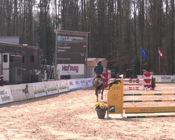 Reitturnier Ranshofen - Braunau am Inn 2025