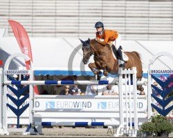 jumper Ensilla (Polish Warmblood, 2000, from Luron)