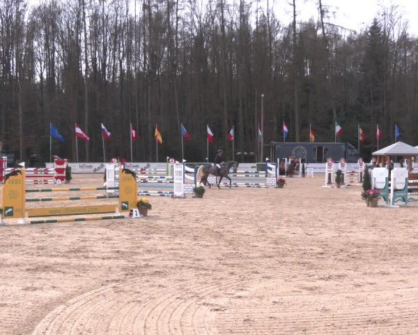 Reitturnier Ranshofen - Braunau am Inn 2025