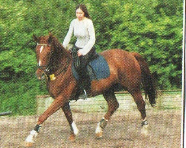 broodmare Ginella (Westphalian, 1994, from Ginelli)