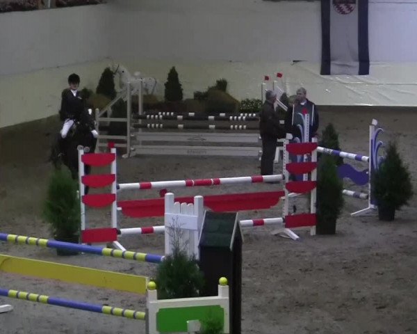 16. Legdener Pony-Meeting