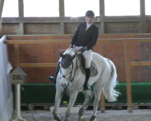 Reitturnier Päse 2025