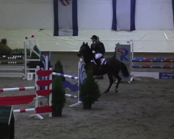 16. Legdener Pony-Meeting