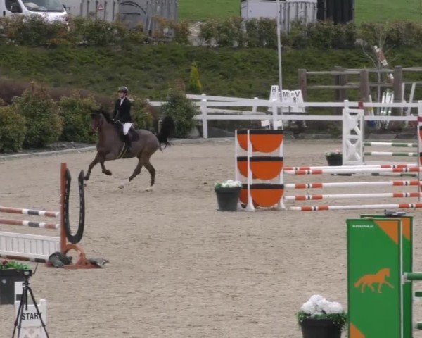 Reitturnier St. Margarethen 2025