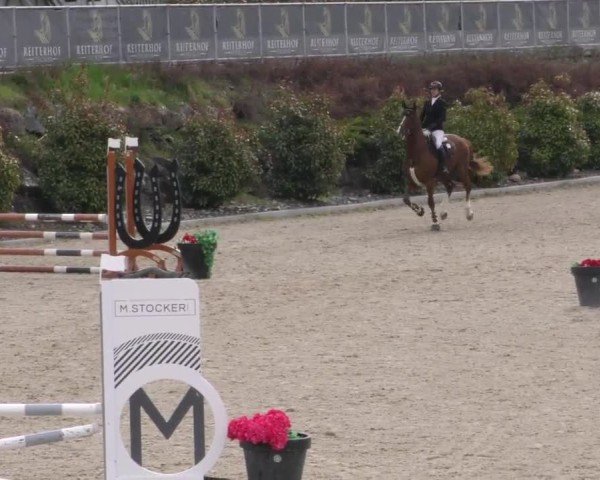 Reitturnier St. Margarethen 2025