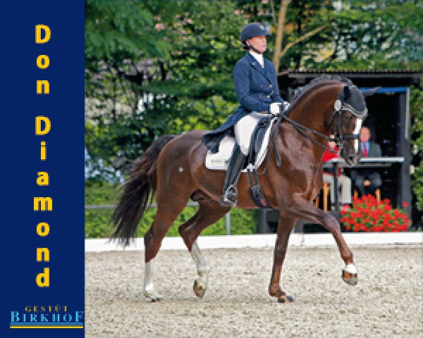 stallion Don Diamond (Württemberger, 2004, from Diamond Hit)