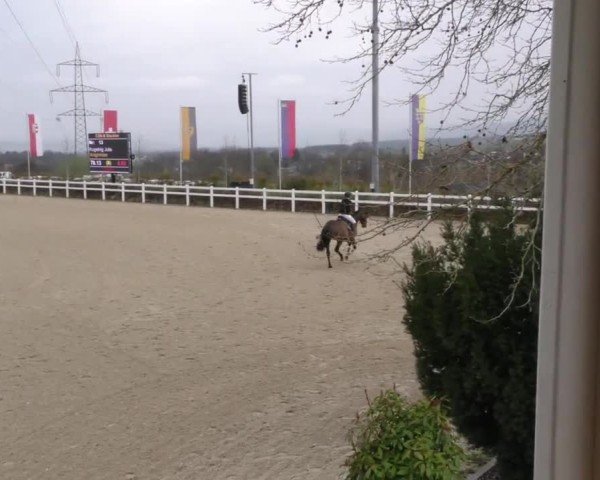 Reitturnier St. Margarethen 2025