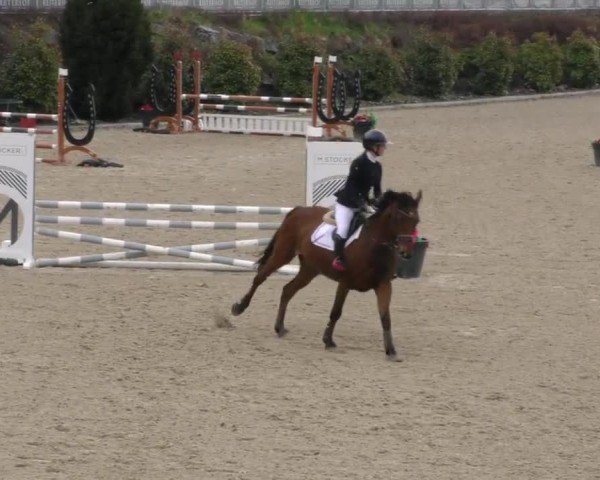 Reitturnier St. Margarethen 2025