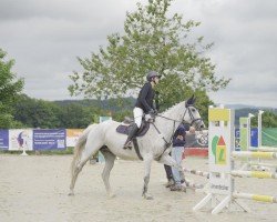 broodmare Cara Berlin (Westphalian, 2009, from Berlin)