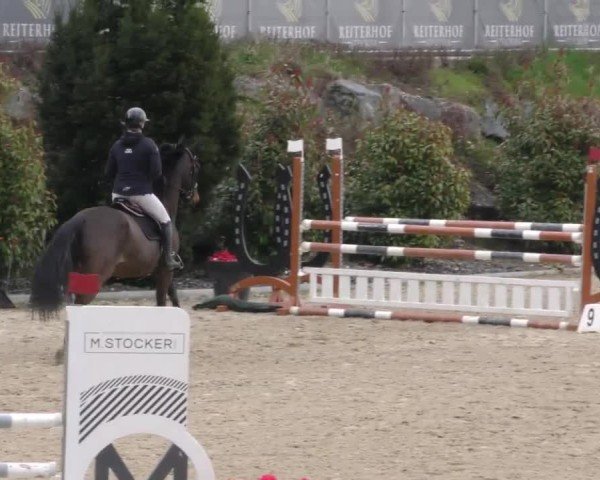 Reitturnier St. Margarethen 2025