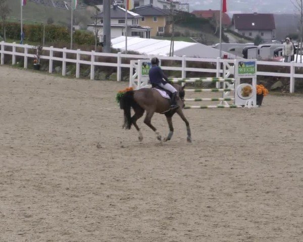 Reitturnier St. Margarethen 2025