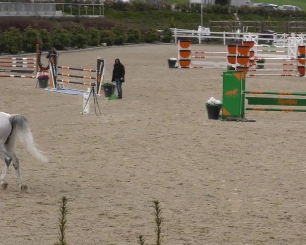 Reitturnier St. Margarethen 2025