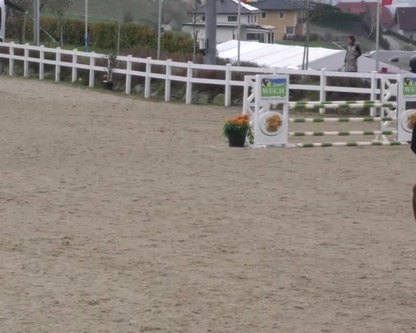 Reitturnier St. Margarethen 2025