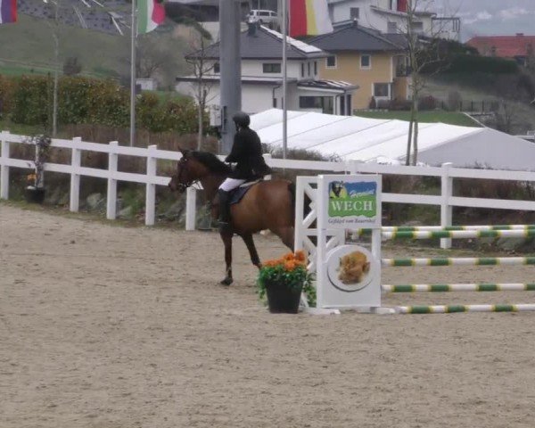 Reitturnier St. Margarethen 2025