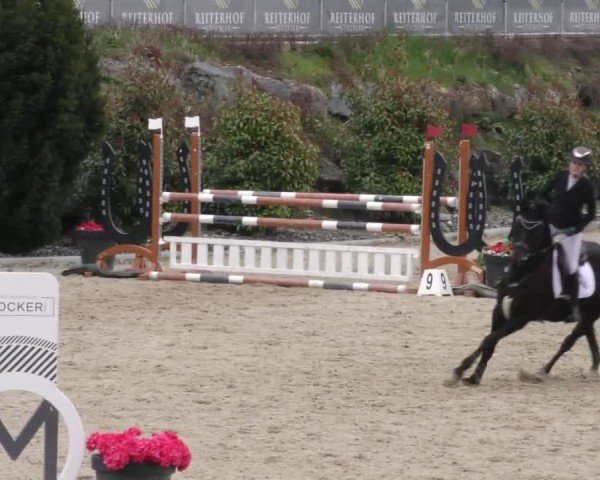 Reitturnier St. Margarethen 2025