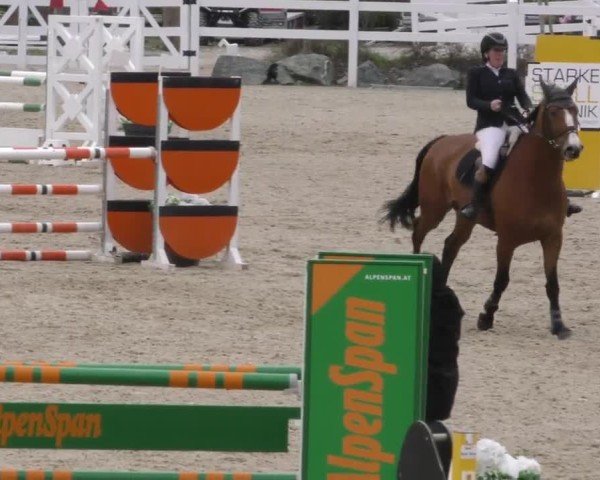 Reitturnier St. Margarethen 2025