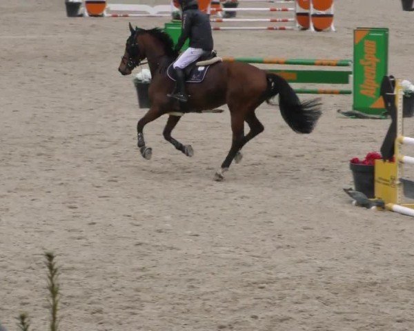 Reitturnier St. Margarethen 2025