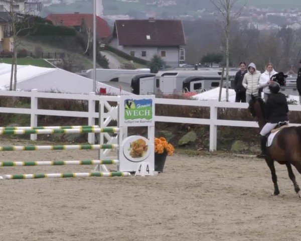 Reitturnier St. Margarethen 2025
