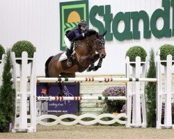 jumper Harmonie L (KWPN (Royal Dutch Sporthorse), 2012, from Dutch Design)