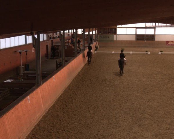 Reitturnier Borgholzhausen 2025