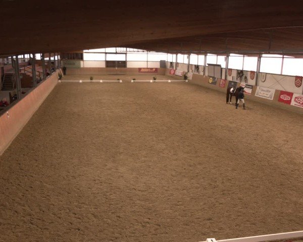 Reitturnier Borgholzhausen 2025