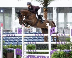 jumper Nixon van D'Abelendreef (Belgian Warmblood, 2013, from Diamant de Semilly)