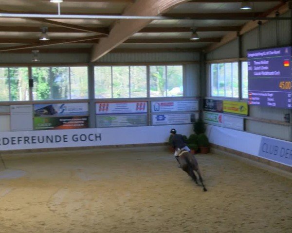 Reitturnier Goch 2025