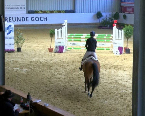 Reitturnier Goch 2025