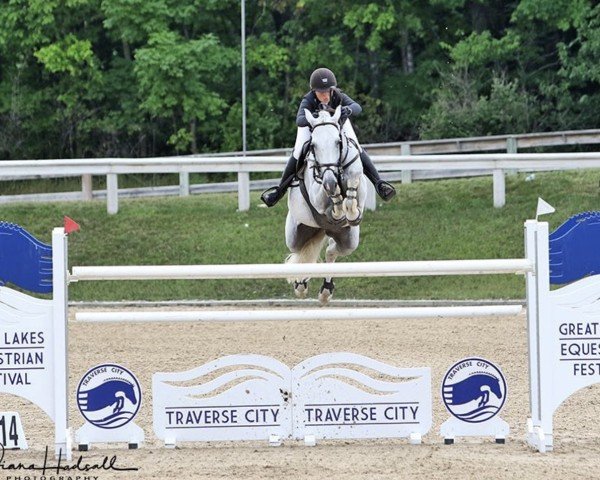 jumper Cantero Da Lagoa (Holsteiner, 2008, from Cassini II)