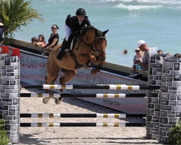 jumper Ecuador (Hanoverian, 2004, from Escudo I)