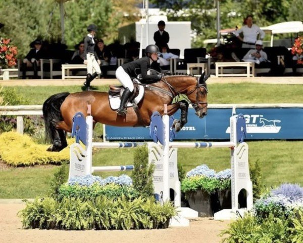 jumper Jolene Ak (KWPN (Royal Dutch Sporthorse), 2014, from Glasgow van het Merelsnest)