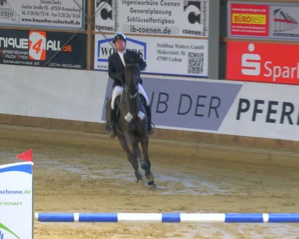Reitturnier Goch 2025