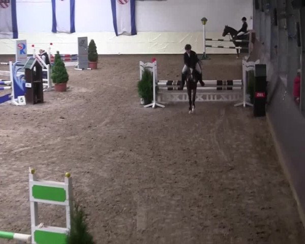 16. Legdener Pony-Meeting