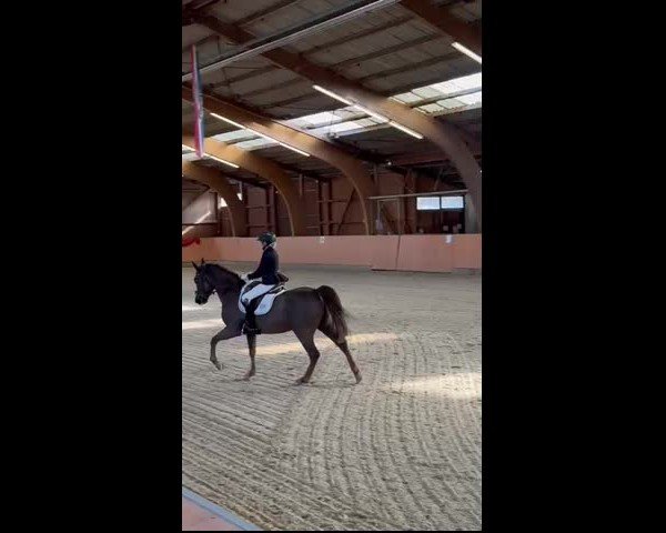Video of Peyman